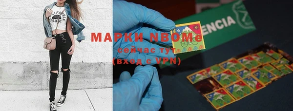 хмурый Абаза