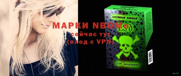 хмурый Абаза