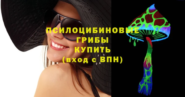 эйфоретик Алзамай