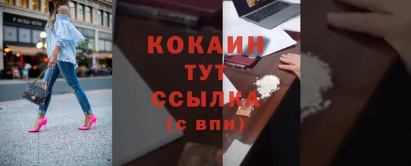 хмурый Абаза