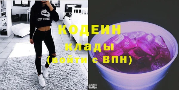 хмурый Абаза