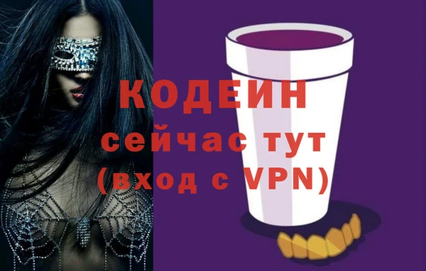 хмурый Абаза
