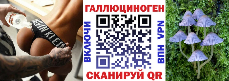кракен tor  Королёв  Псилоцибиновые грибы GOLDEN TEACHER 