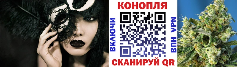 дарк нет Telegram  Королёв  Марихуана White Widow  наркотики 
